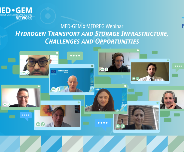 Poster of the MegReg x MED-GEM Webinar