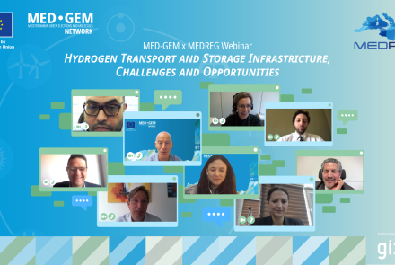 Poster of the MegReg x MED-GEM Webinar